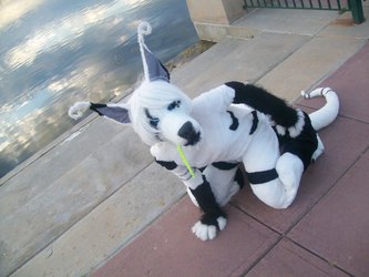 Rowdy fursuit crouched
