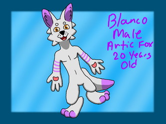 Blanco the artic fox