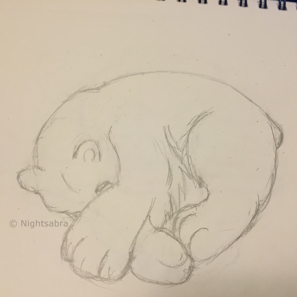 Traditional Bear Sketch (5 Minutes)