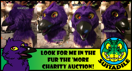 FTM Charity Auction!!
