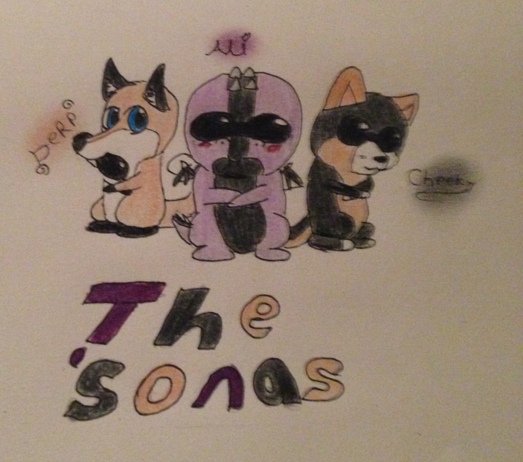 The Sonas