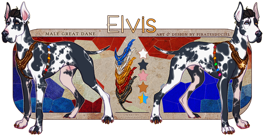 Most recent image: Elvis