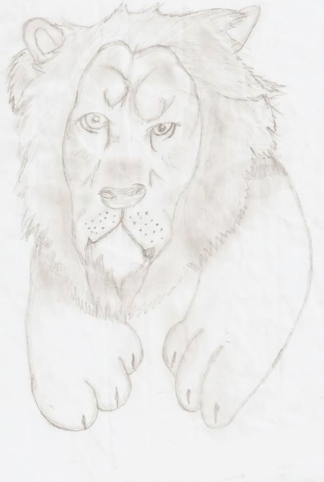 Lion Drawing – Learn How to Draw the King of Savannah-saigonsouth.com.vn