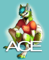 AC Badge: ACE