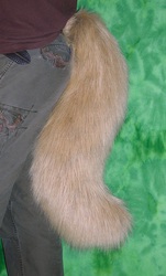 Corsac fox tail