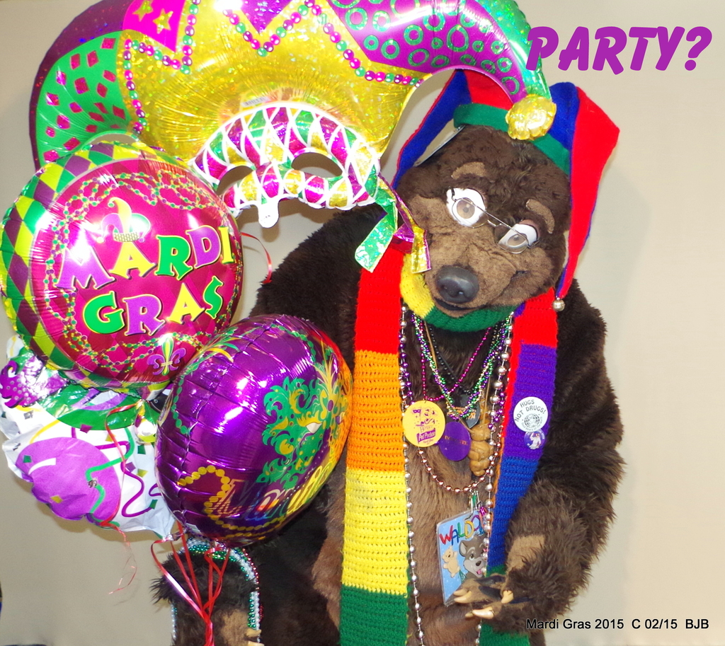 Marti Gras Party Bear