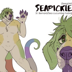 Seapickle Reference