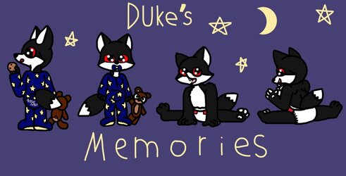 Duke's Memories