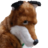 avatar of Shywolf42