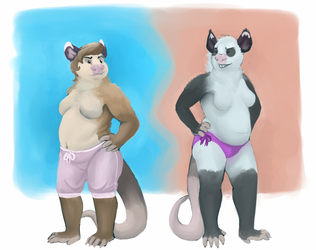 A pair of pretty pudgy possums in pink and purple underpants