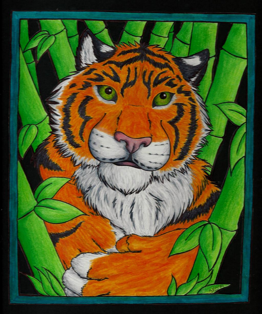 Tiger in the Bamboo