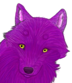 Most recent image: Zebedia Head Coloring Practice