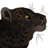 avatar of coyotesoot