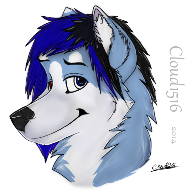 Most recent image: Husky! Cloudy