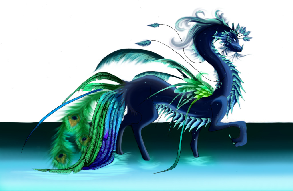 peacock.dragon