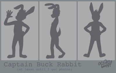 Captain Buck Rabbit