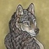 avatar of Sorinwolf