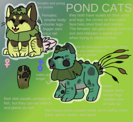 Pond Cats