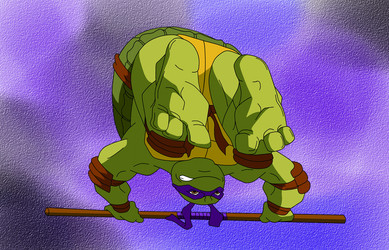 TMNT - Donatello ready for kicking