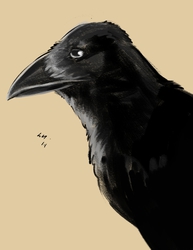 Speedpaint: Crow