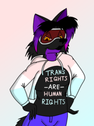 Trans rights sweater/shirt meme