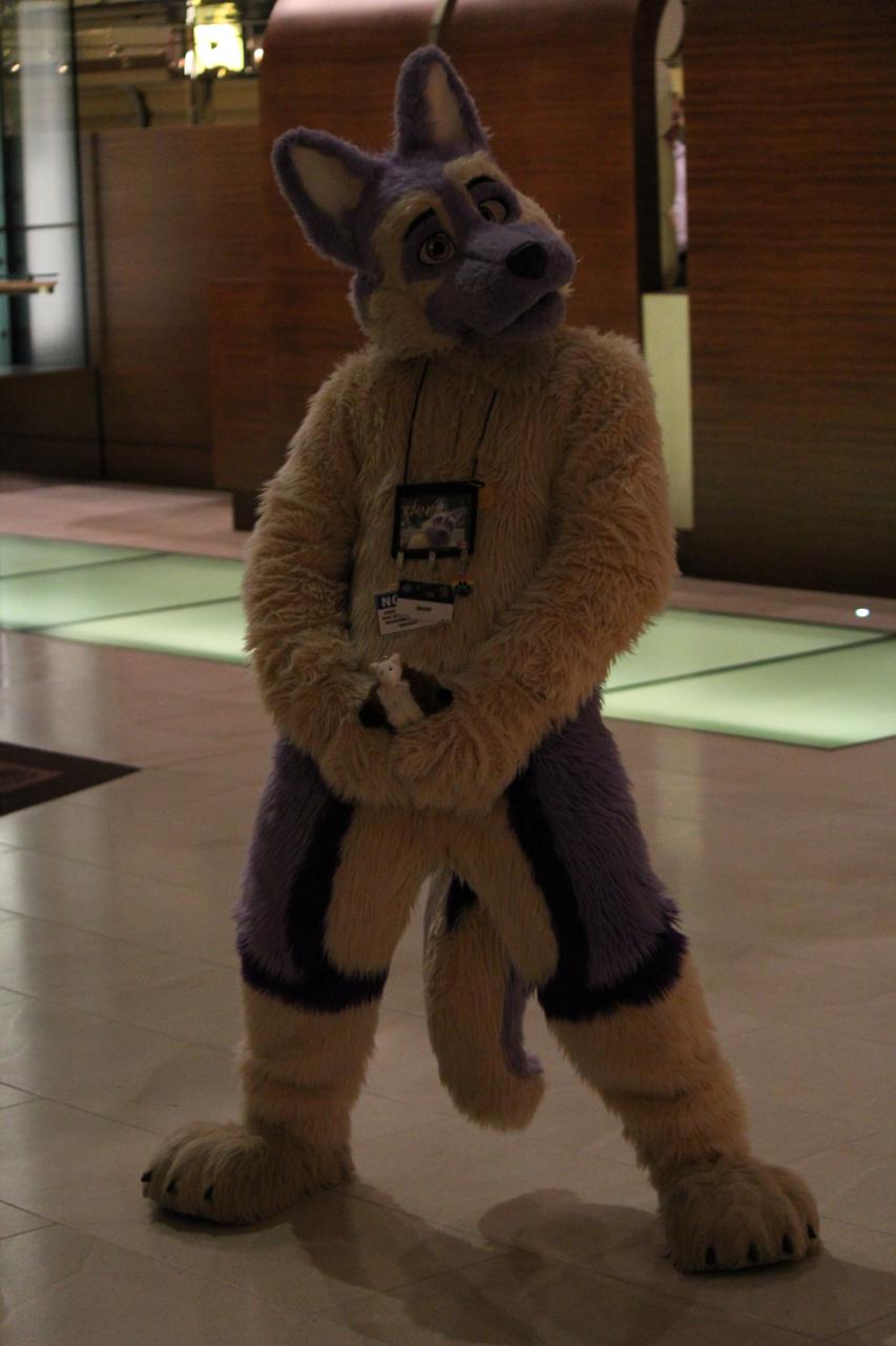 Got Something For you - MFF 2012
