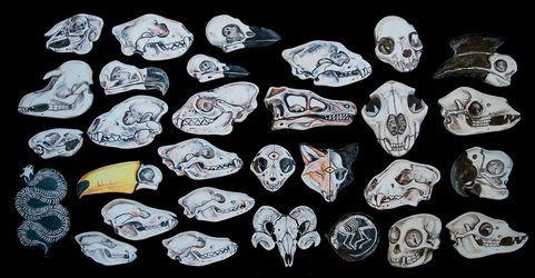 Ceramic Skull Plates
