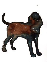 Galaxy Bloodhound