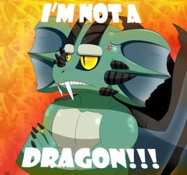 Not a Dragon