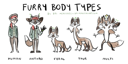 Bri's Guide to Basic Furry Body Types