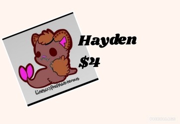 selling Hayden