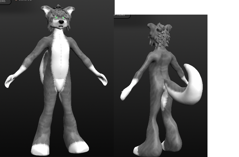 Husky 3D Model textured
