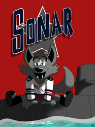 AHL MAX Series Number 03 of 30: Sonar - Hartford Wolfpack
