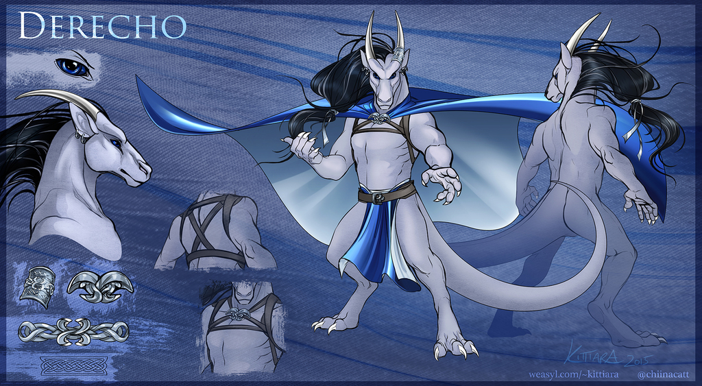 Derecho Dragon - Character Sheet