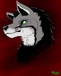 Sachwolf by Akumu, Freeart