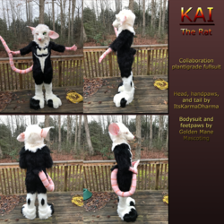 Kai The Rat