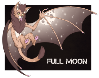 Full Moon Kitty Bat