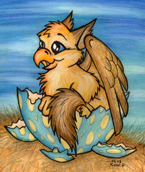 Gryphon Chick