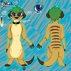 New Reference Sheet [By LostLove]