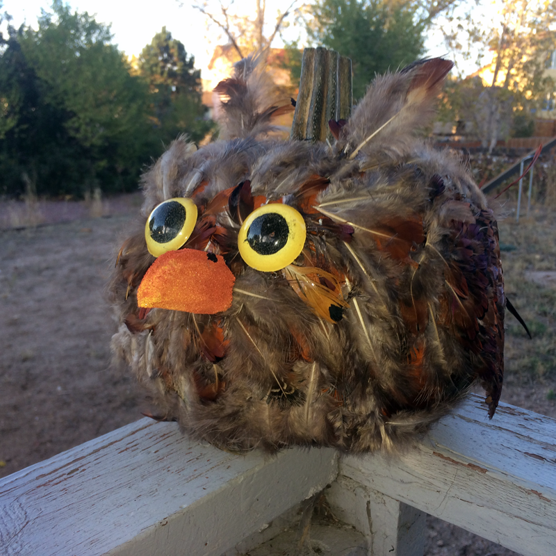 Featured image: Owl pumpkin