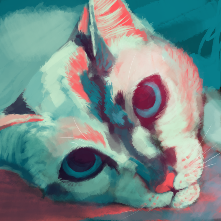 Paintcat