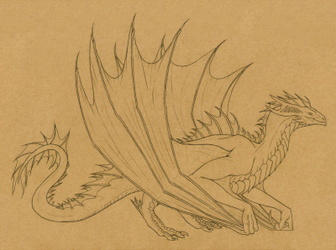 Commission #77 - Dragon Design