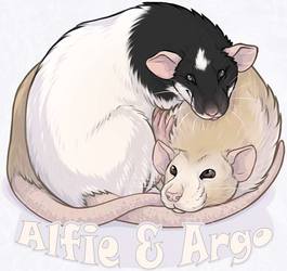 Alfie and Argo