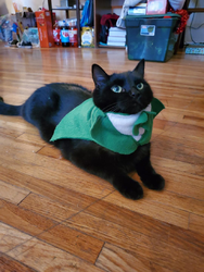 Green Cat Tuxedo Costume Gift