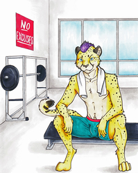 Workout Cheetah