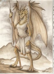 Kirashlian, my bronze dragon half :) by Nimiaris