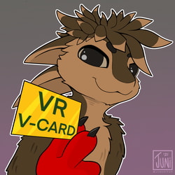 VR V-Card