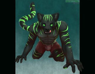 Prowling to you~