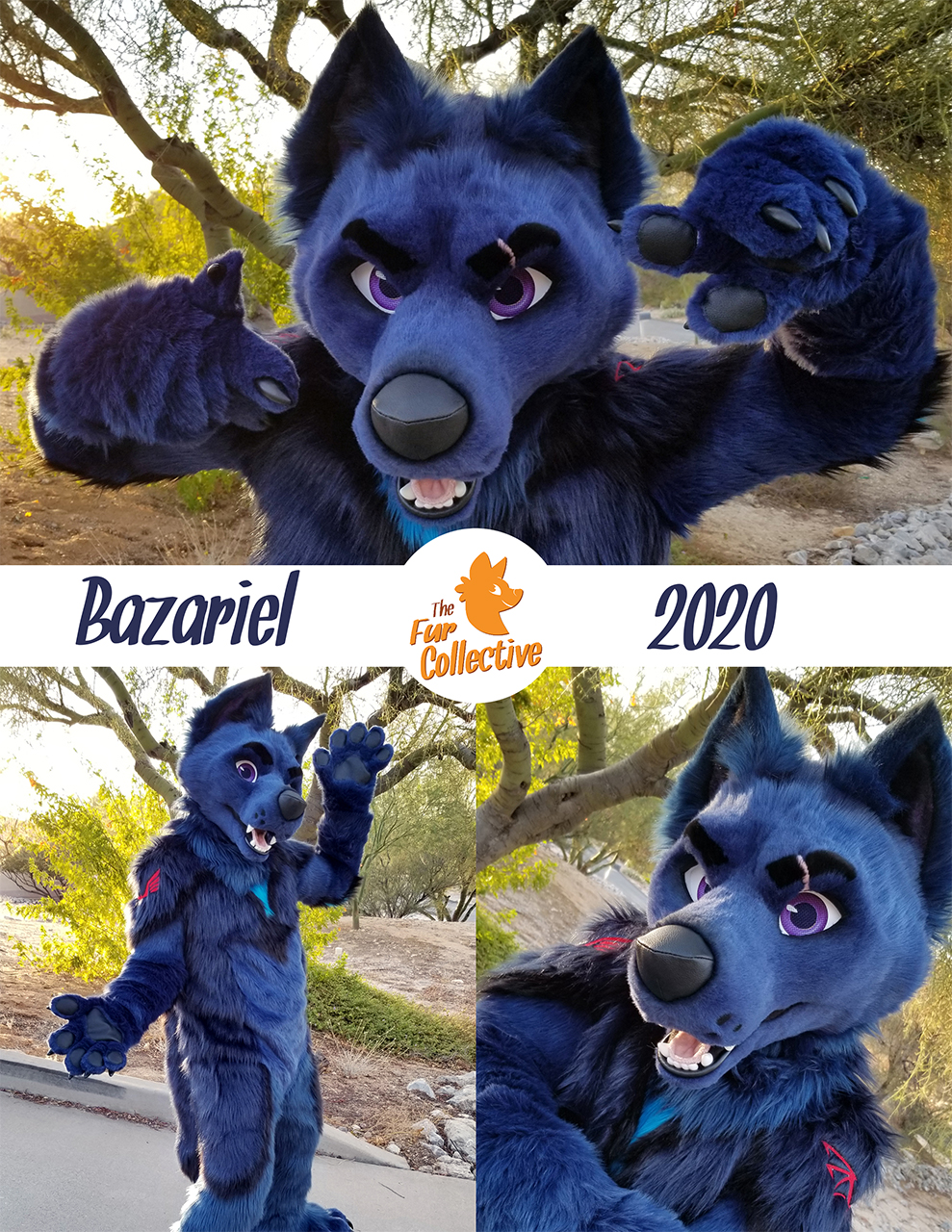 Most recent image: Bazariel the Wolf!