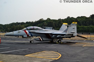 F18 Super Hornet 
